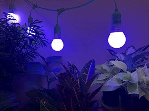 Гирляндное осветление MiracleLED SmokePhonics с 4-Ма конектори за led подсветка в Зелен цвят