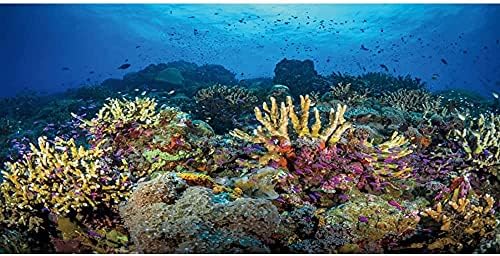 AWERT 24x12 инчов Винил цветен фон за гмуркане аквариум, коралов Фон за гмуркане аквариум